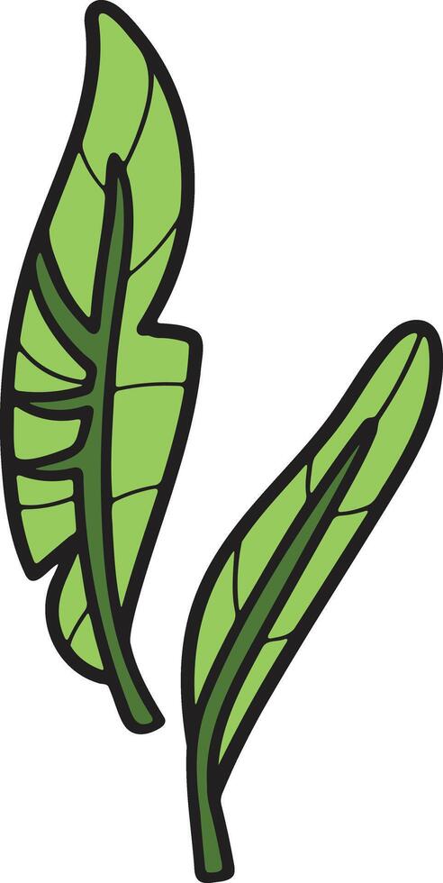 A leafy plant with a black outline vector