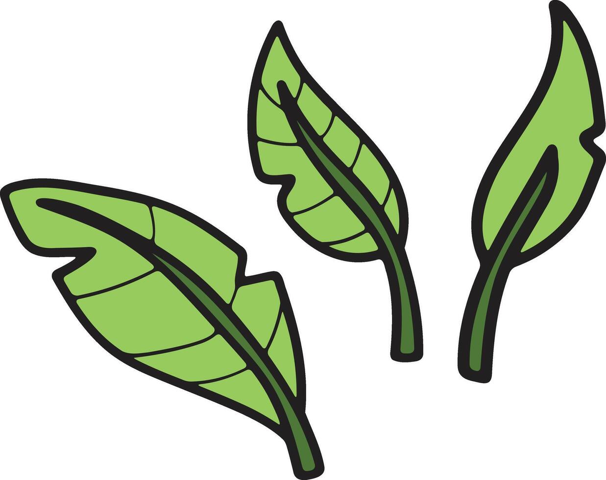 A leafy plant with a black outline vector
