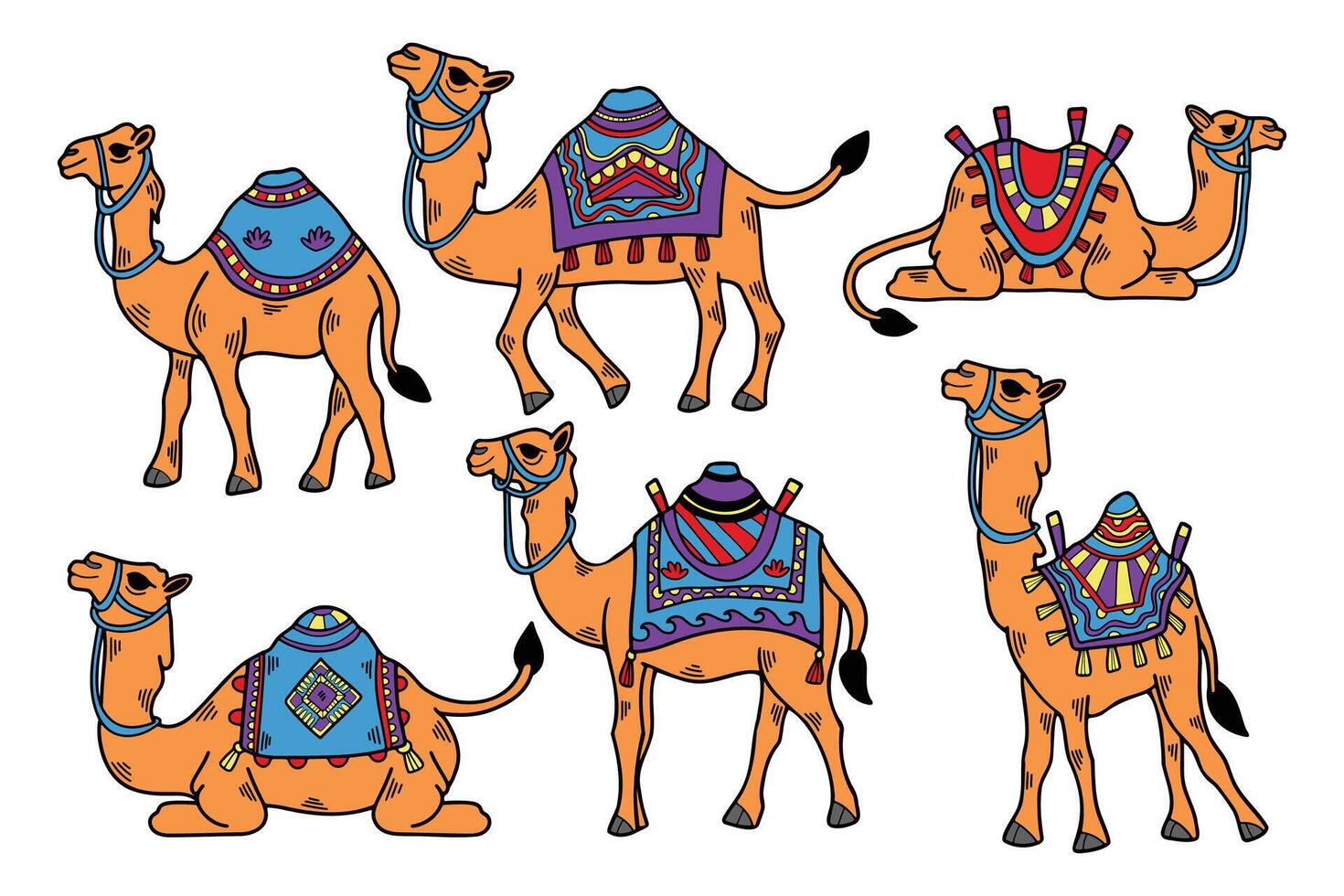 A set of black and white drawings of camels with different colored blankets vector