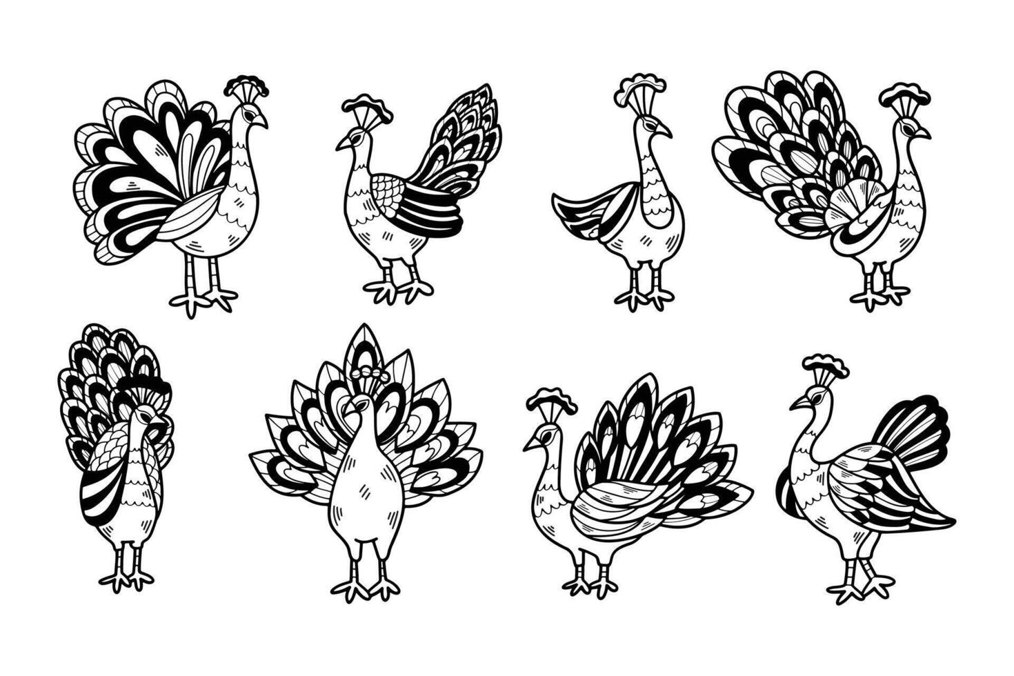 A set of black and white drawings of peacocks vector