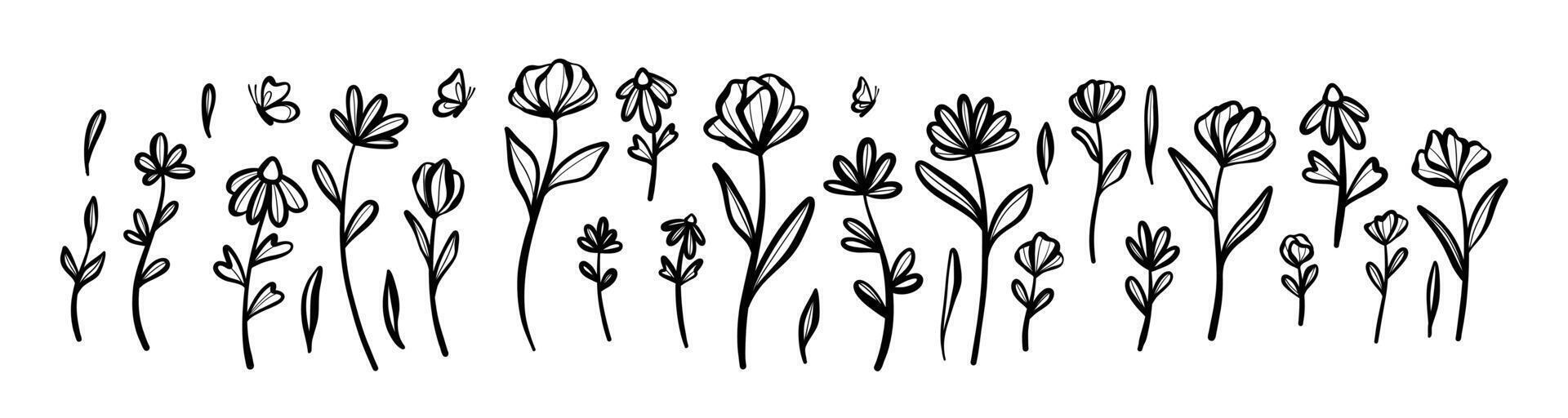 Doodle flower set, floral illustrations with butterflies, spring graphic elements, isolated vector