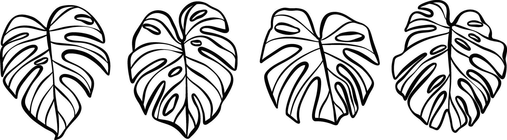 Monstera leaf clip art set, isolated hand drawn tropical leaves,ink line art doodles vector