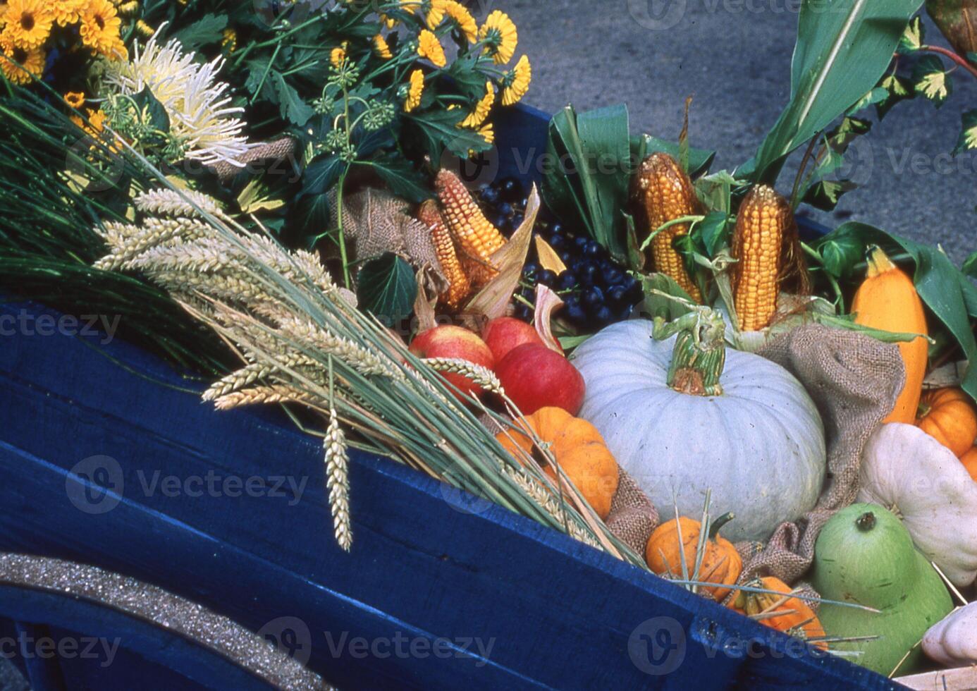 a blue wagon filled with various fruits and vegetables photo