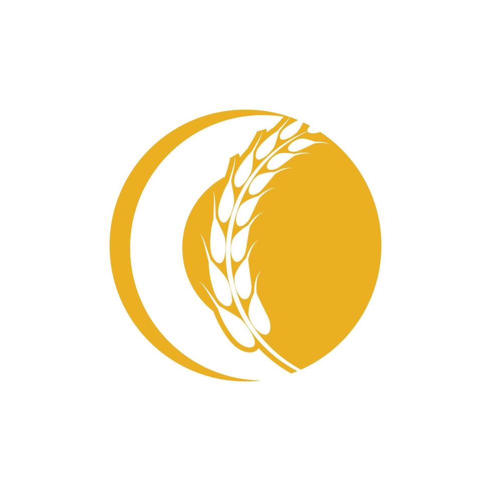 Agriculture wheat logo template and symbol vector