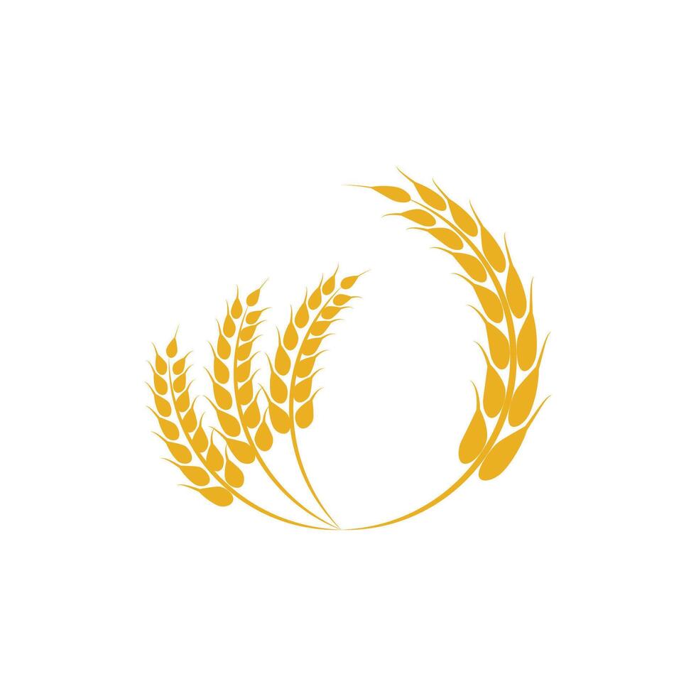 Agriculture wheat logo template and symbol vector