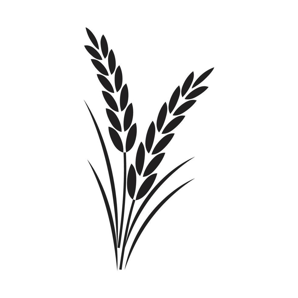 Agriculture wheat logo template and symbol vector