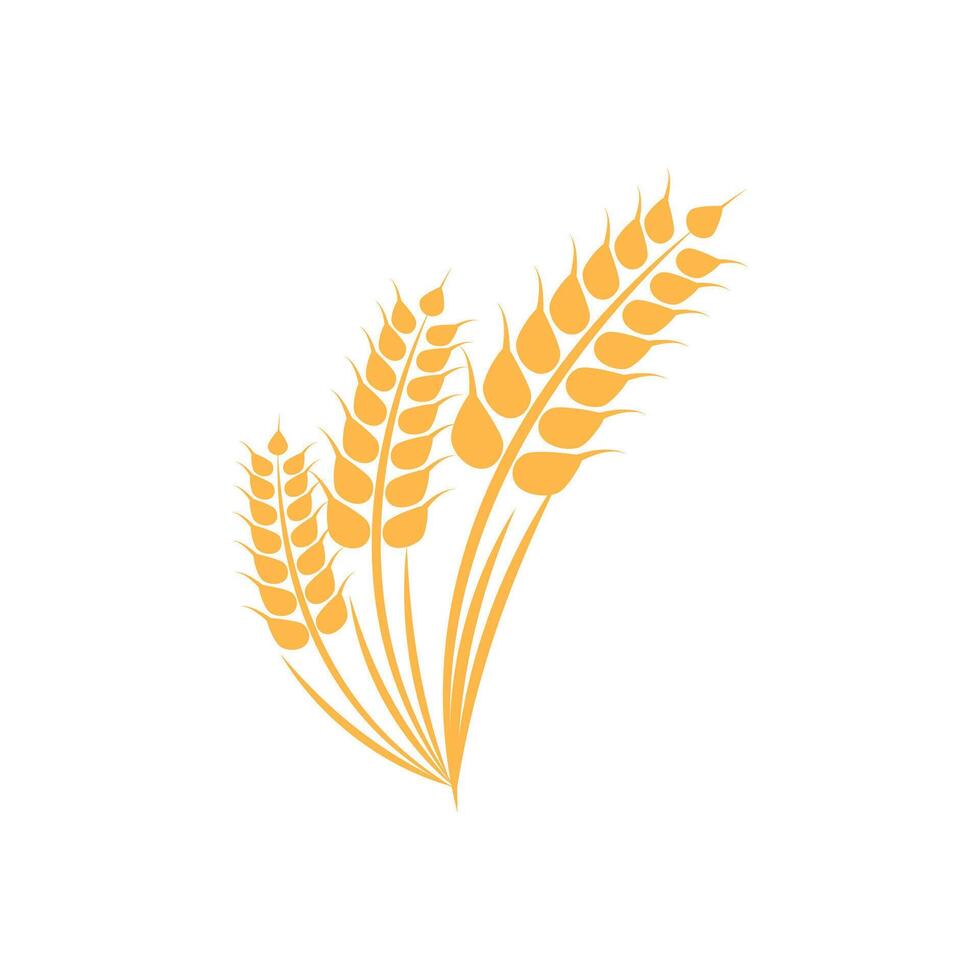 Agriculture wheat logo template and symbol vector