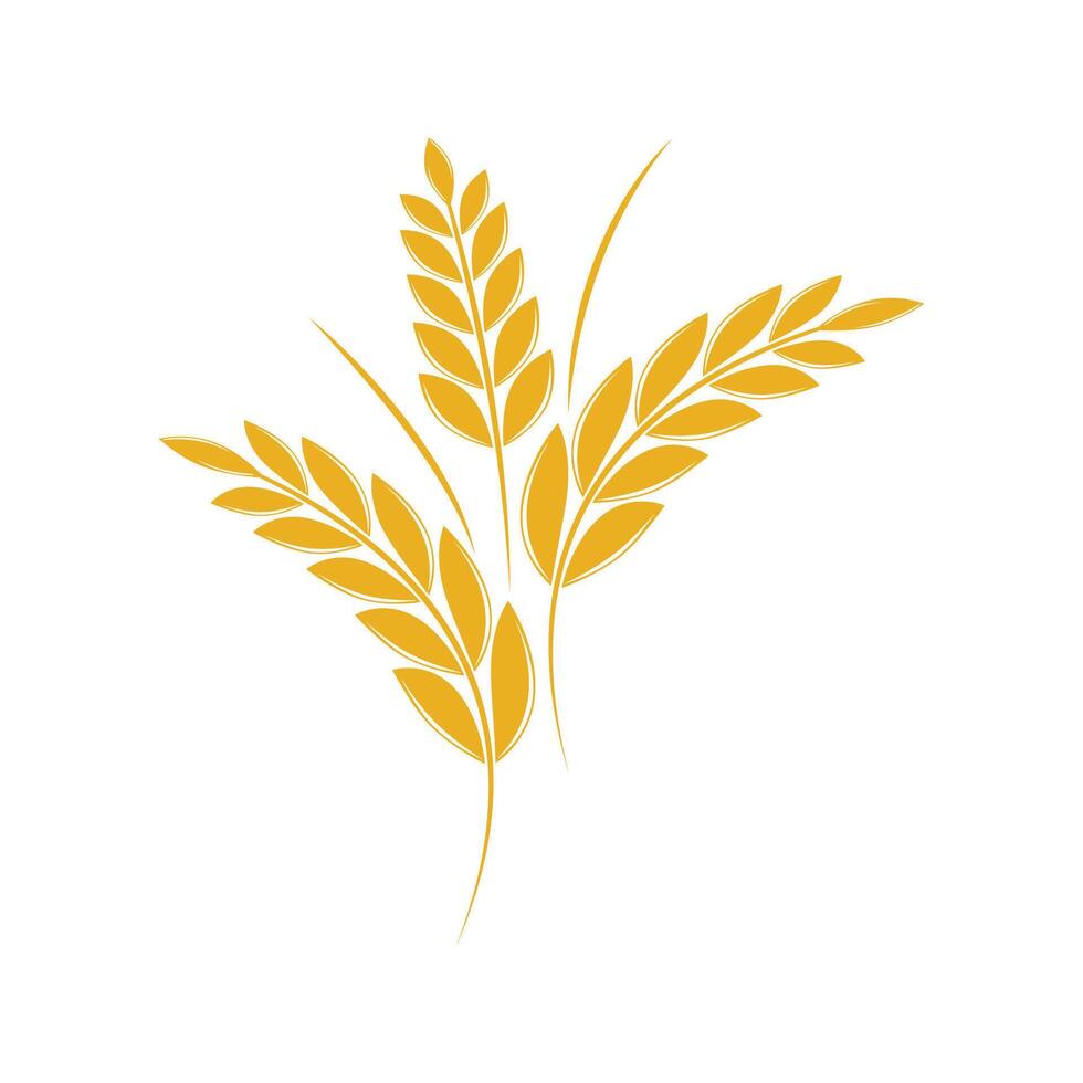 Agriculture wheat logo template and symbol vector