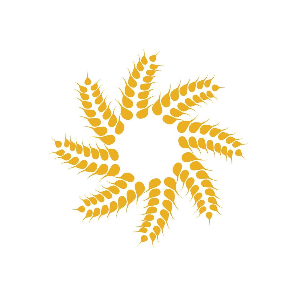 Agriculture wheat logo template and symbol vector