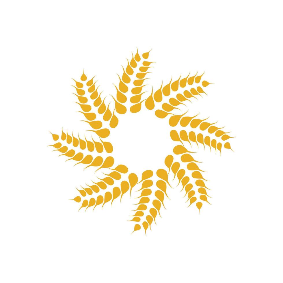 Agriculture wheat logo template and symbol vector