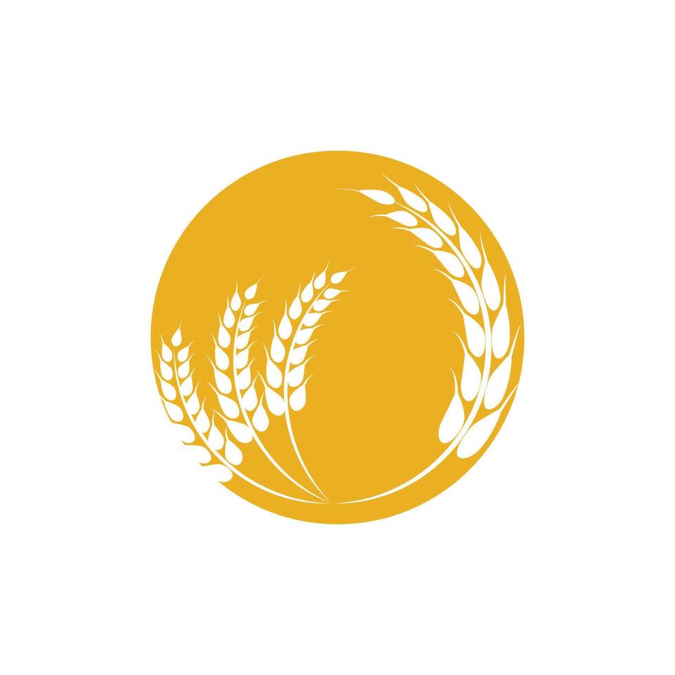 Agriculture wheat logo template and symbol vector