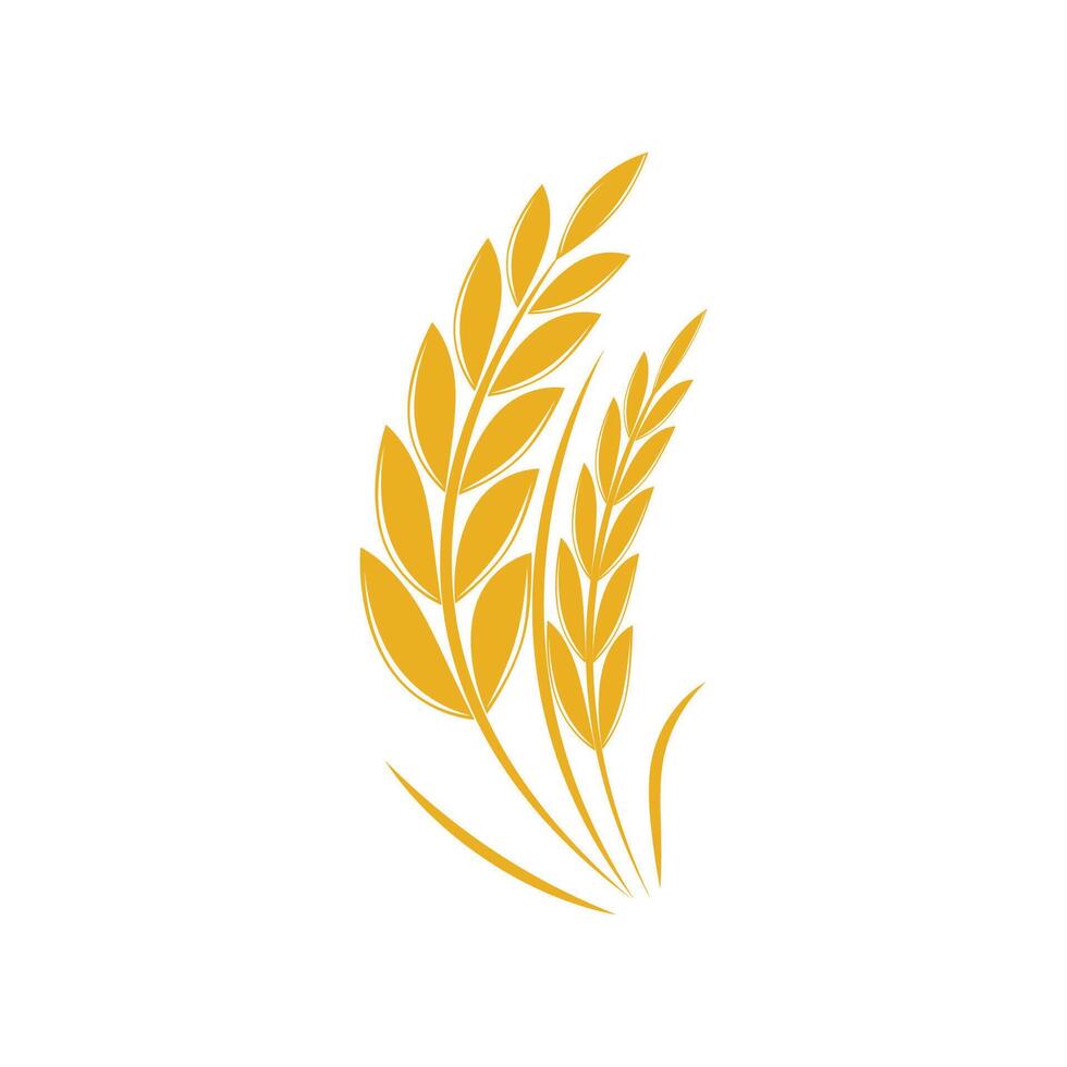 Agriculture wheat logo template and symbol vector