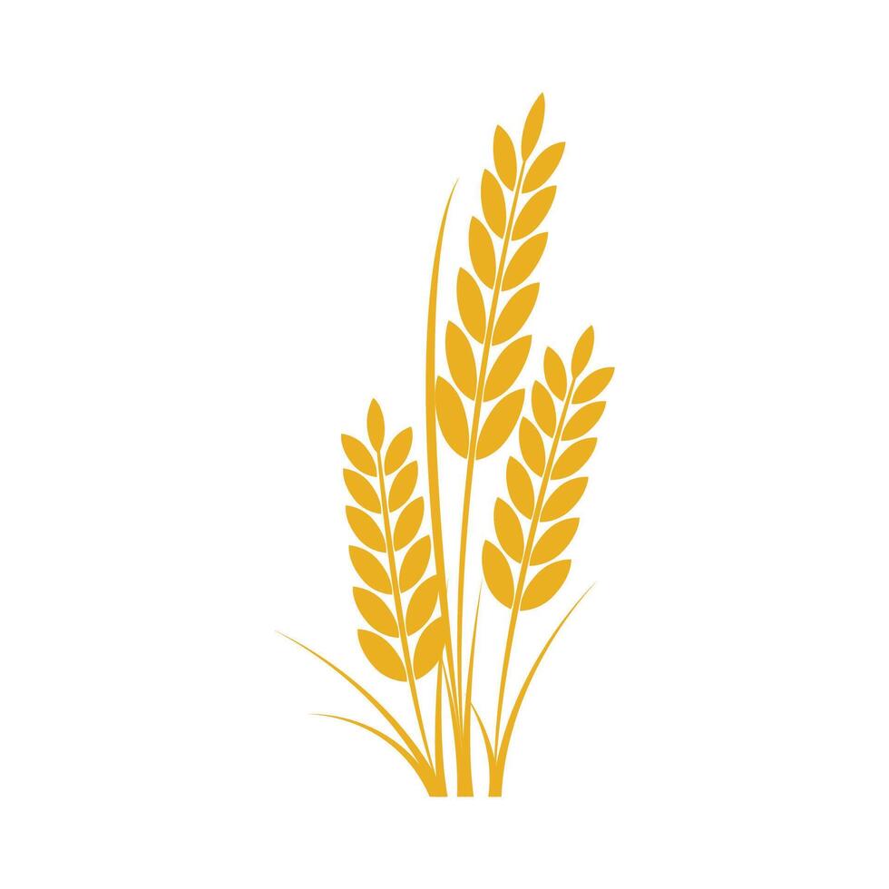 Agriculture wheat logo template and symbol vector