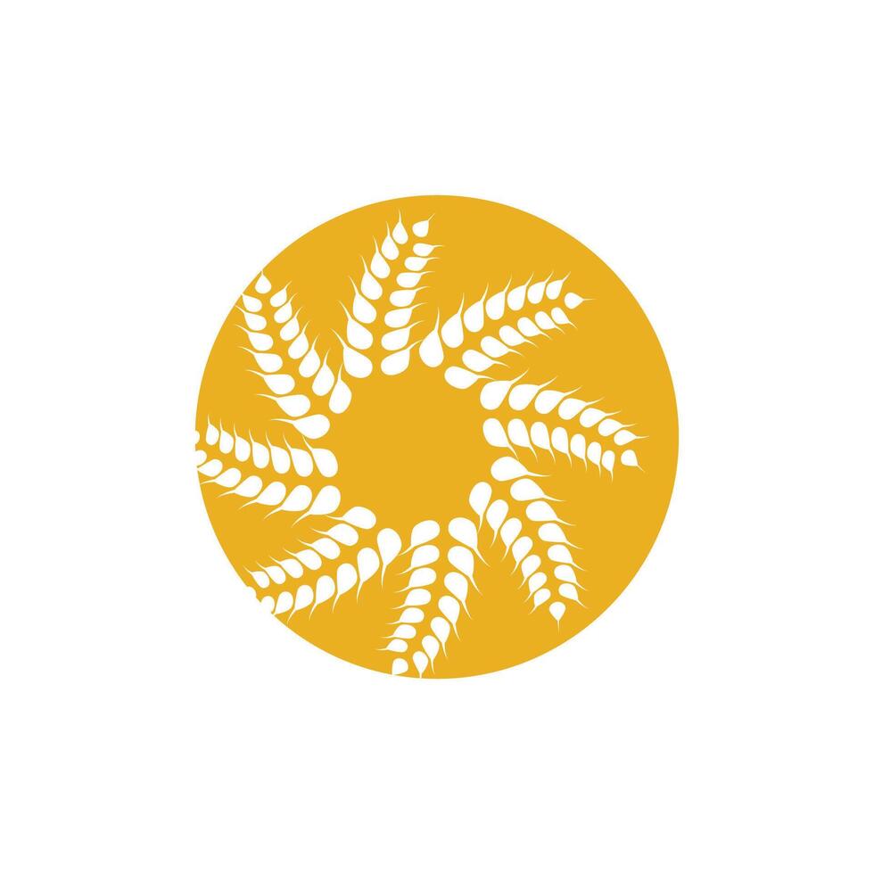 Agriculture wheat logo template and symbol vector