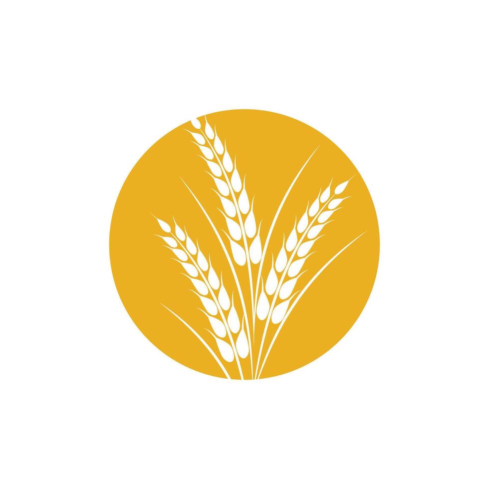 Agriculture wheat logo template and symbol vector