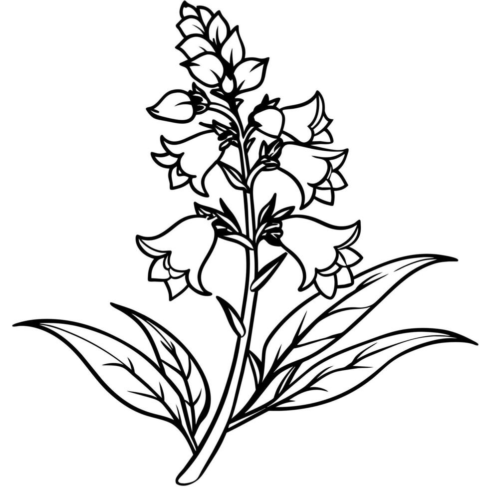 Snapdragon flower outline illustration coloring book page design, Snapdragon flower black and white line art drawing coloring book pages for children and adults vector