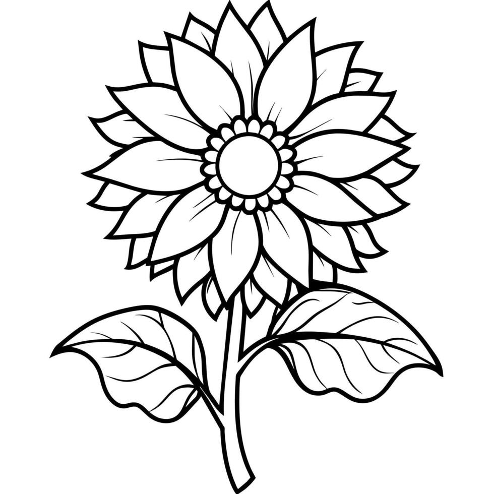 Sunflower flower outline illustration coloring book page design, Sunflower flower black and white line art drawing coloring book pages for children and adults vector