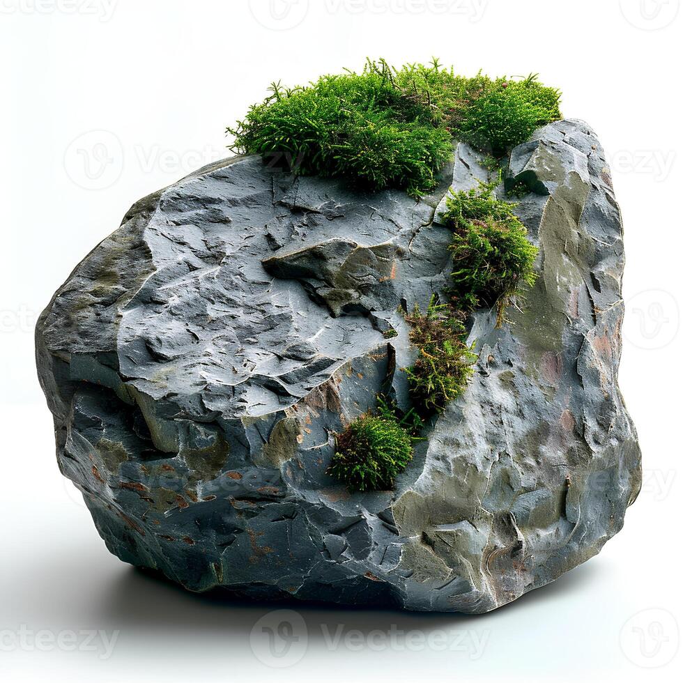 Green moss on a stone isolated on white background with shadow. Rock with forest moss isolated. Rock with wild forest grass and nature photo