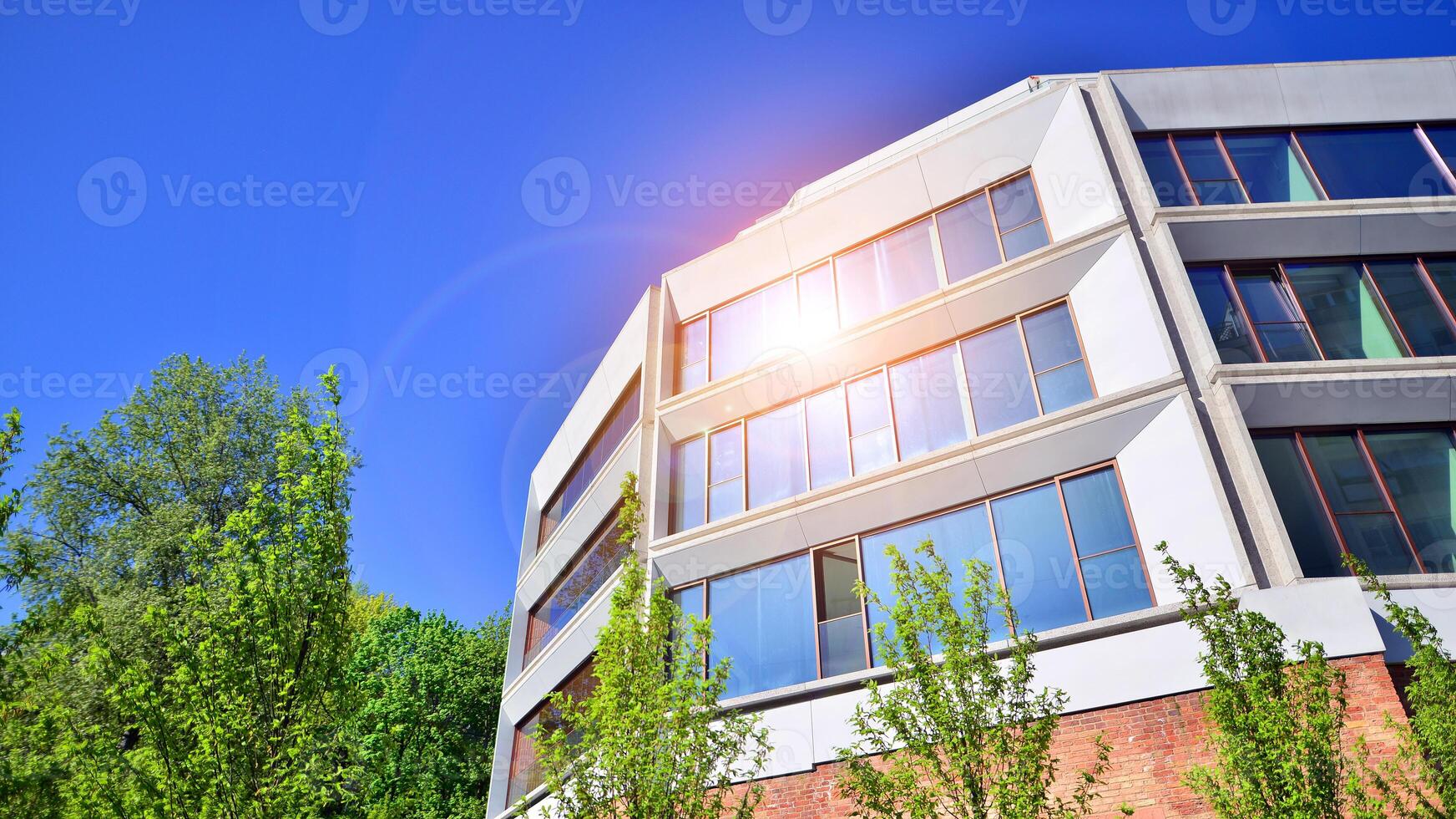 Eco architecture. Green tree and new residential building. Harmony of nature and modernity. Modern apartment building with new apartments in a green residential area. photo