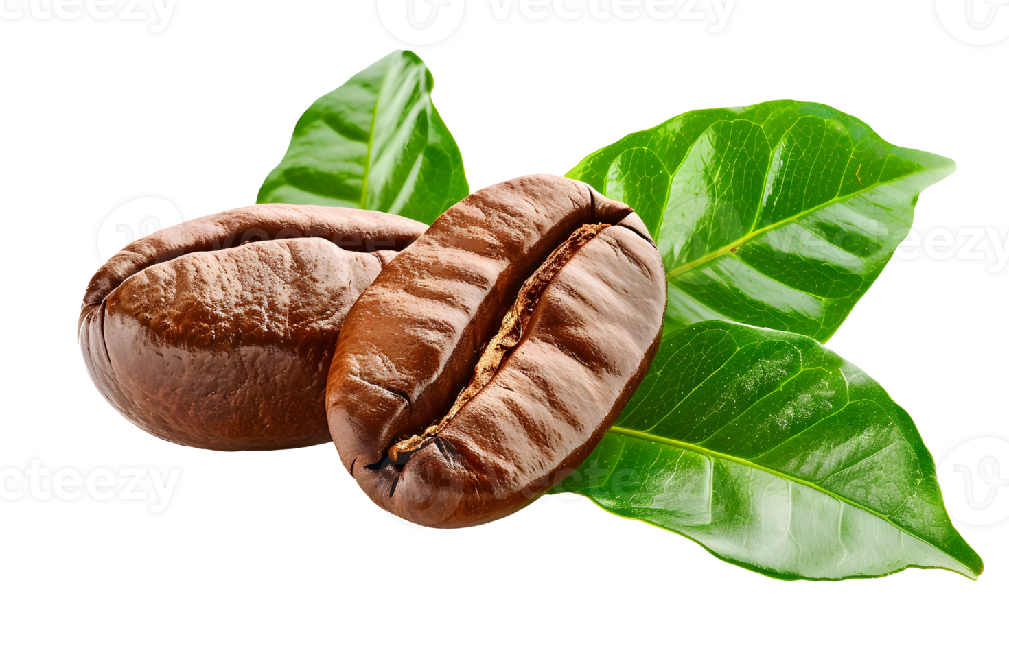 Coffee beans with green leaves isolated on transparent background. Clipping path png