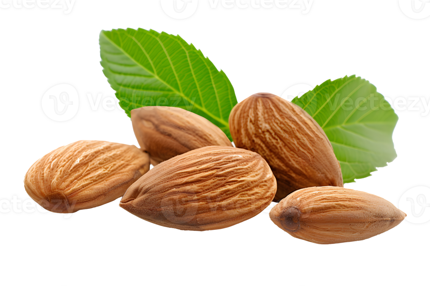Almond nuts with green leaves isolated on transparent background png