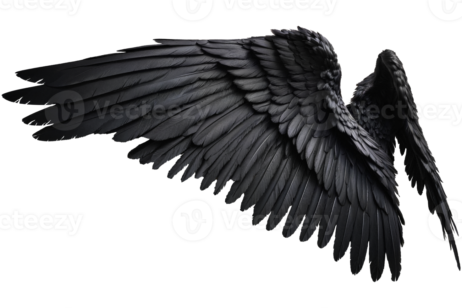 black angel wings png