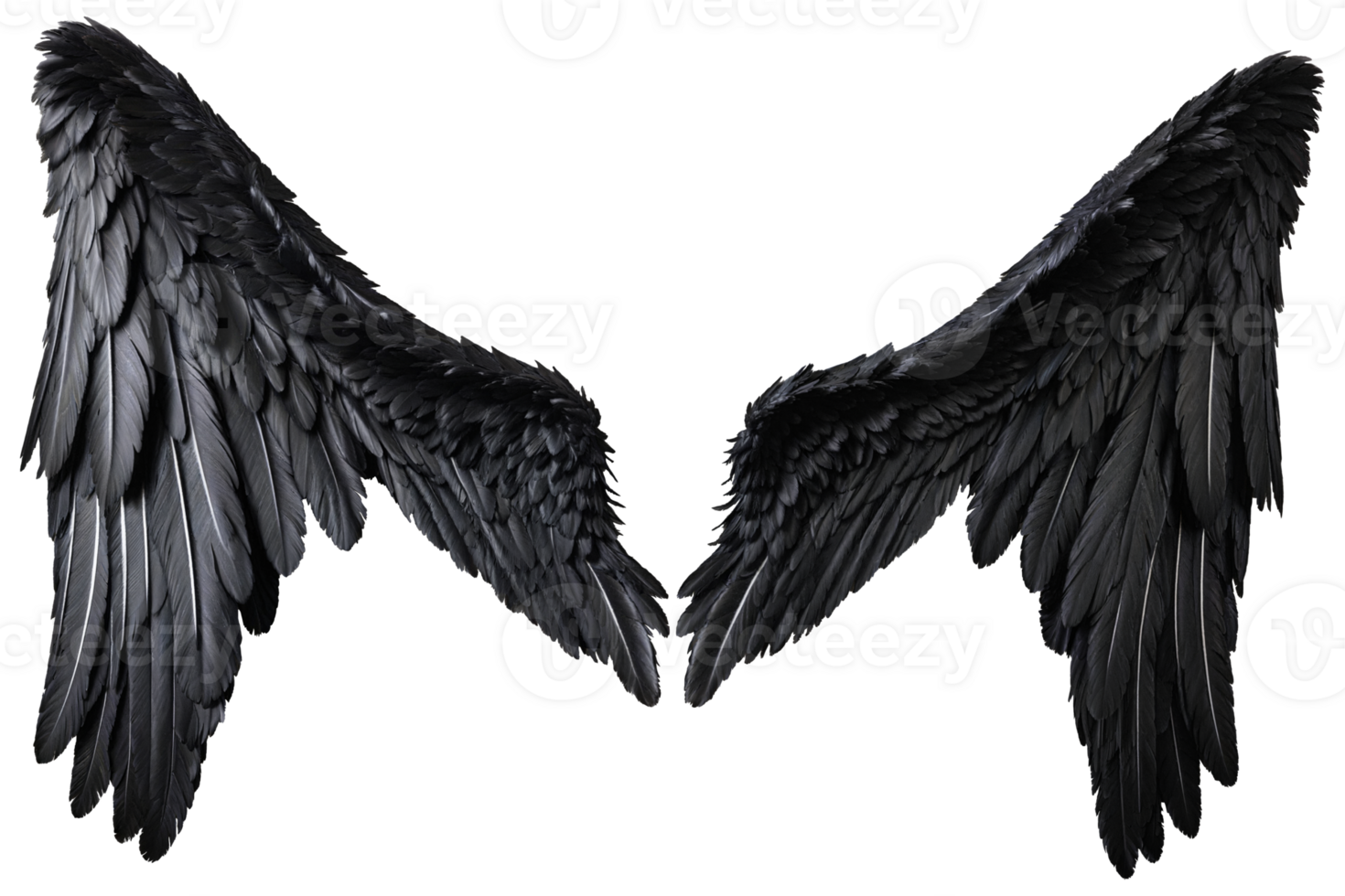 black angel wings png