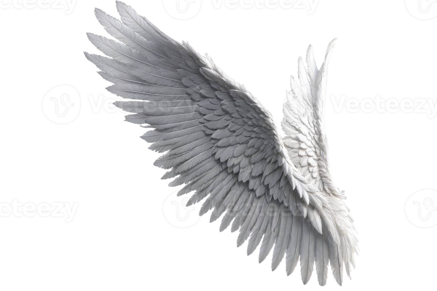 photorealistic angel wings png