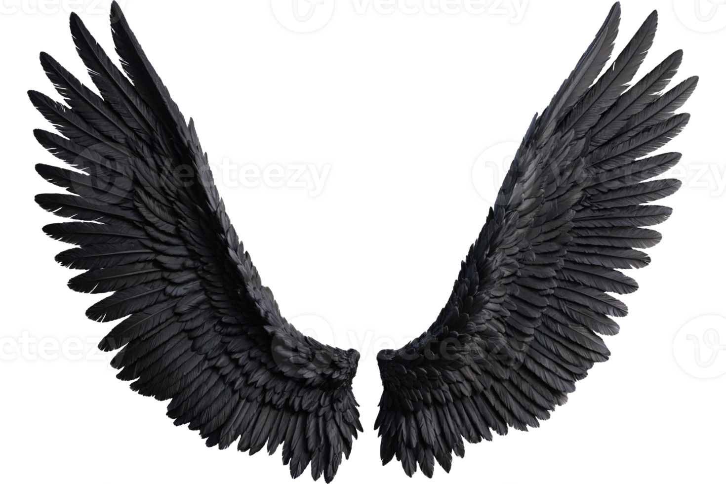 black angel wings png