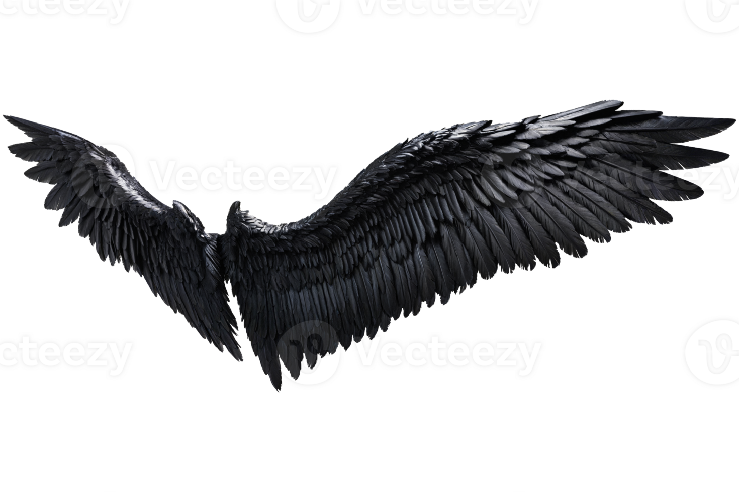 black angel wings png