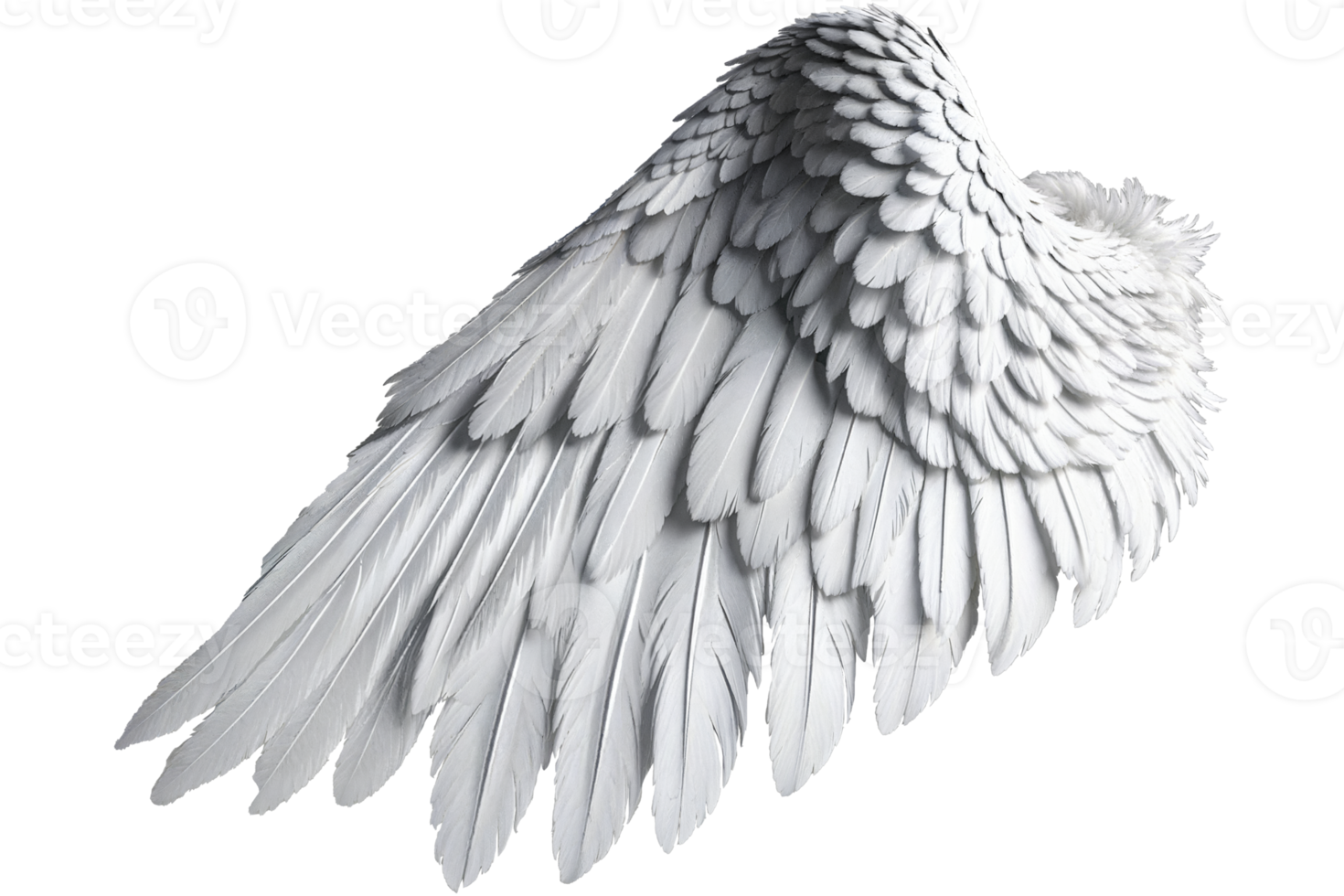 photorealistic angel wings png