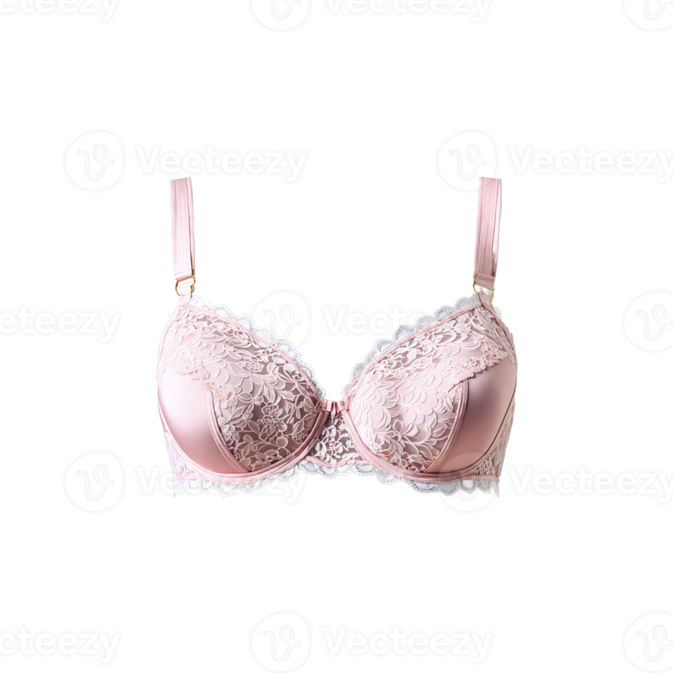 Romantic Dusty Rose Lace Bra A romantic dusty rose lace bra with a soft feminine png