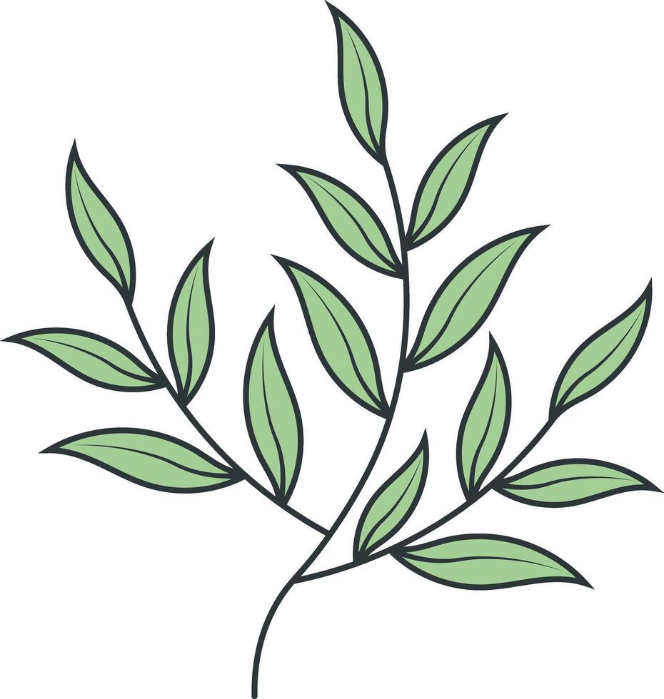 Hand Drawn Floral Botanical Branch. Isolated on White Background. Isolated Illustration. vector
