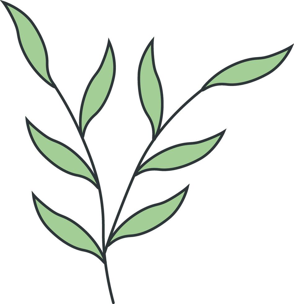 Hand Drawn Floral Botanical Branch. Isolated on White Background. Isolated Illustration. vector