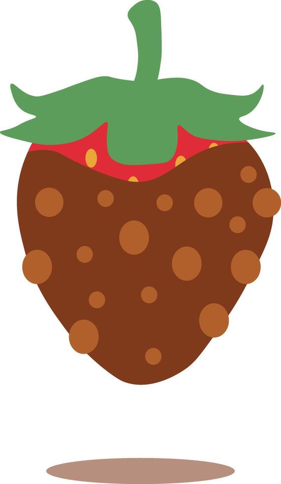 Strawberry Coated Chocolate Illustration. Melted Choco on White Background vector