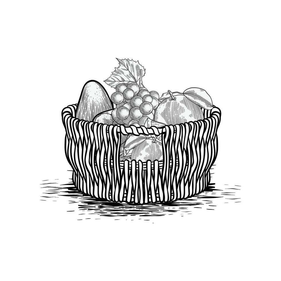 hand drawn fruit basket and fruit collection illustration vector