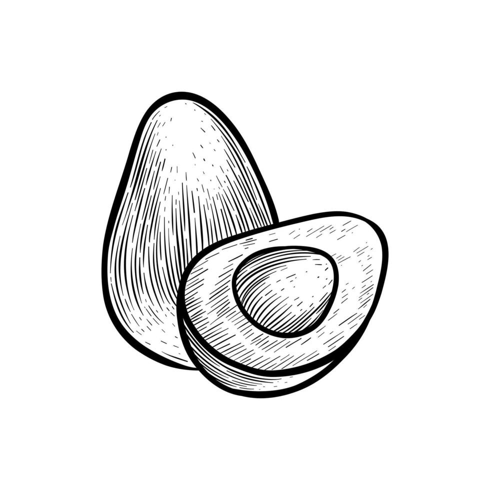 illustration of a carved avocado in black and white vector