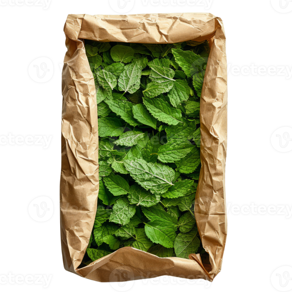 Fresh Catnip Leaves in Paper Bag 44619492 PNG