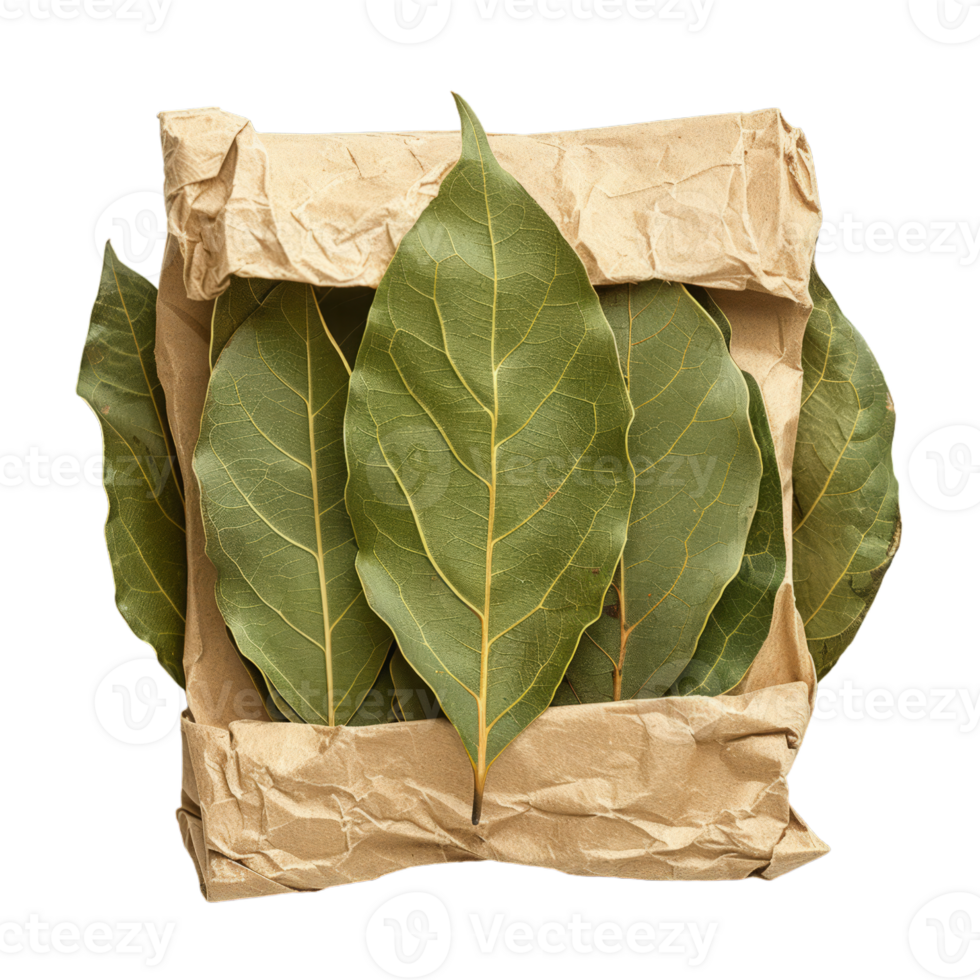 Bay Leaves on Crumpled Paper png