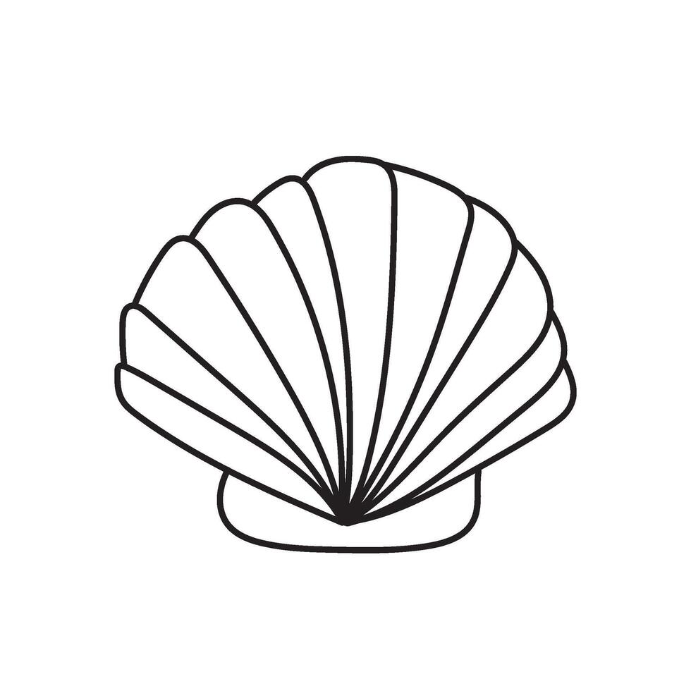 seashell outline illustration vector