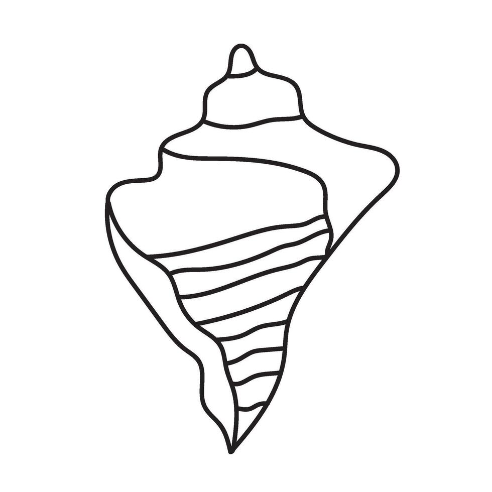 seashell outline illustration vector