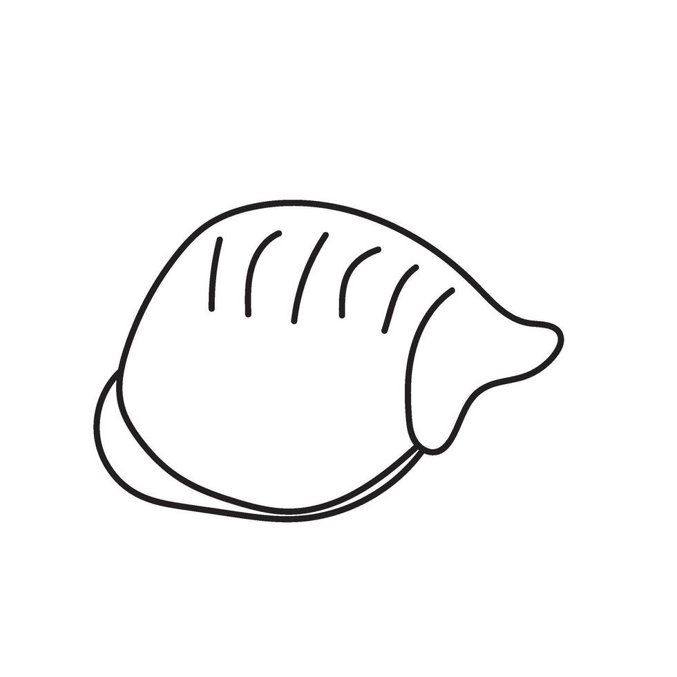 seashell outline illustration vector