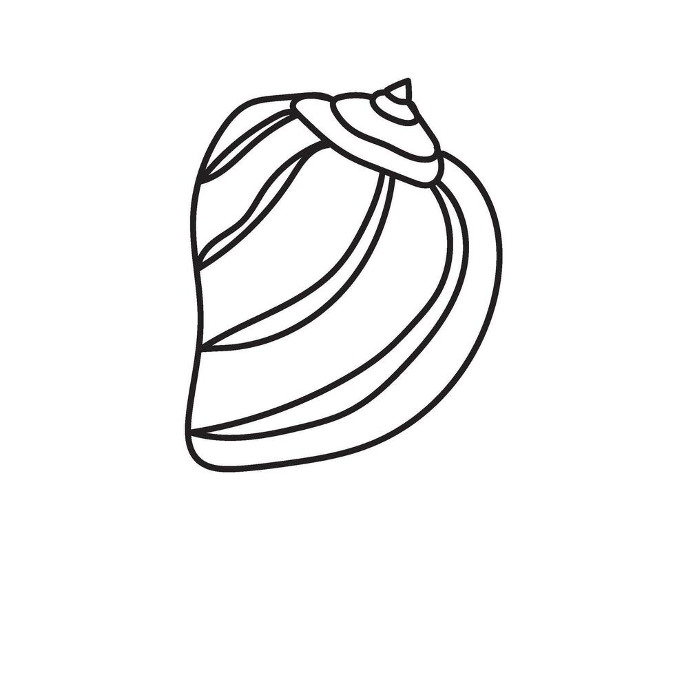 seashell outline illustration vector