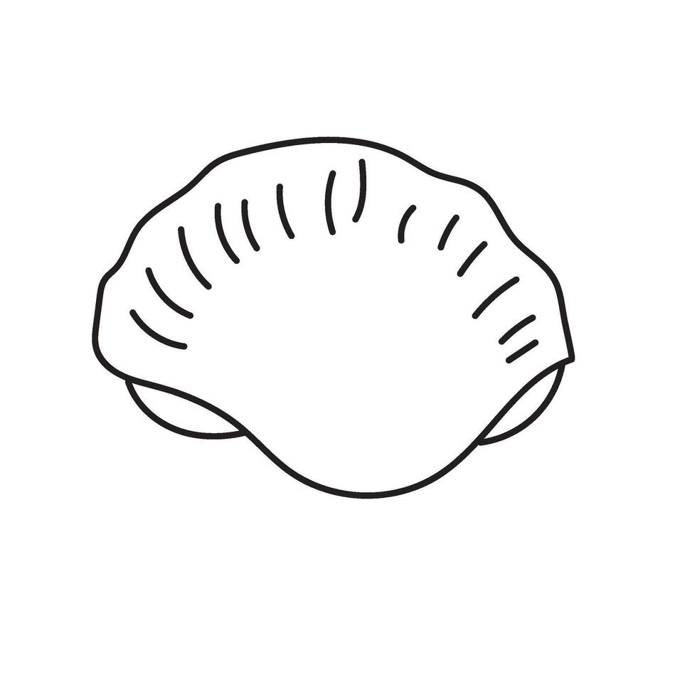 seashell outline illustration vector