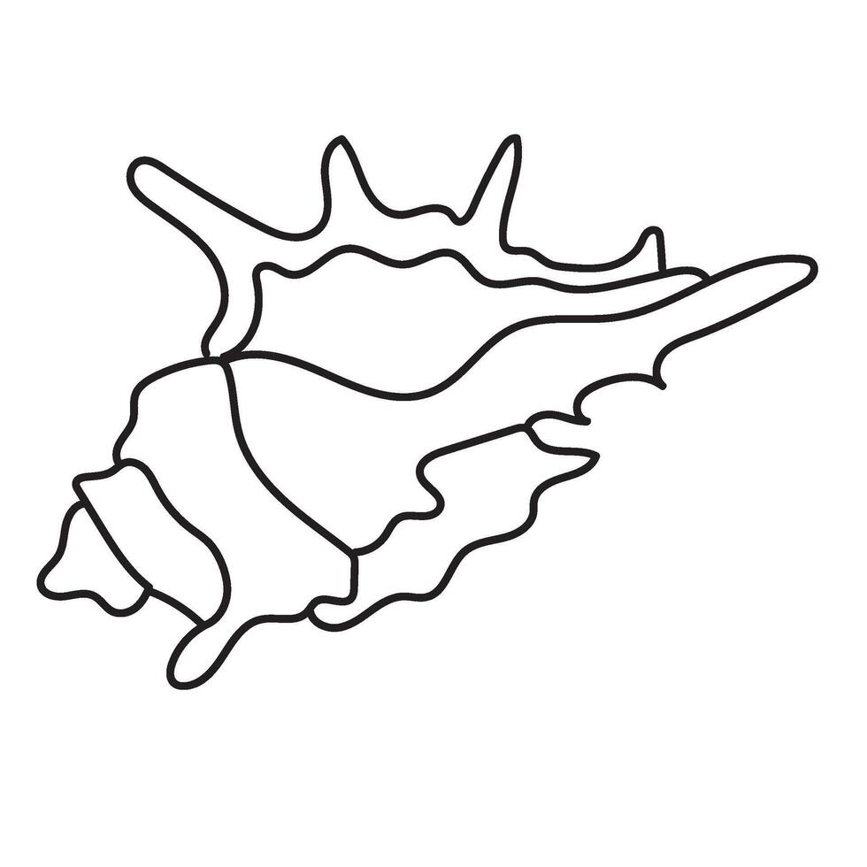 seashell outline illustration vector