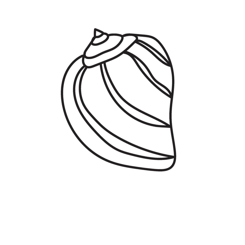 seashell outline illustration vector