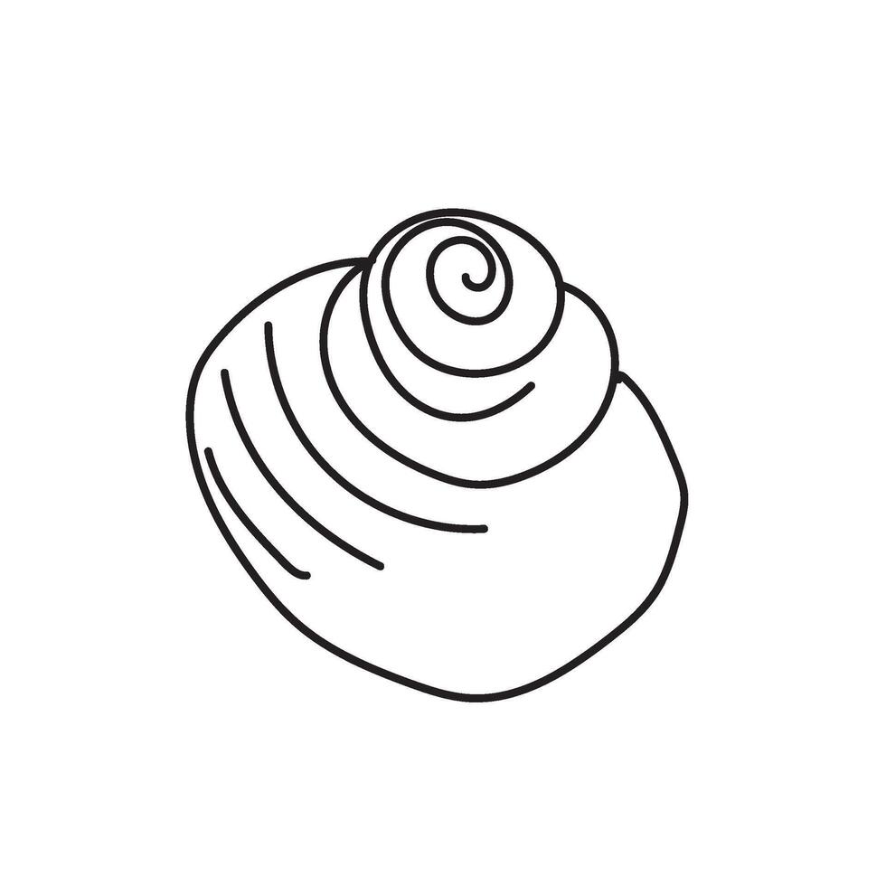 seashell outline illustration vector