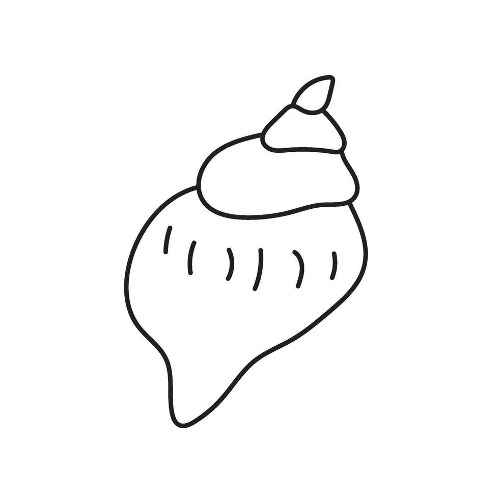 seashell outline illustration vector