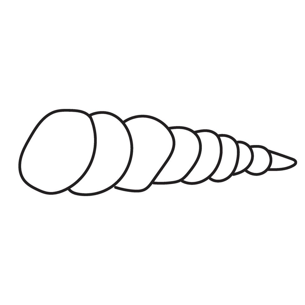 seashell outline illustration vector