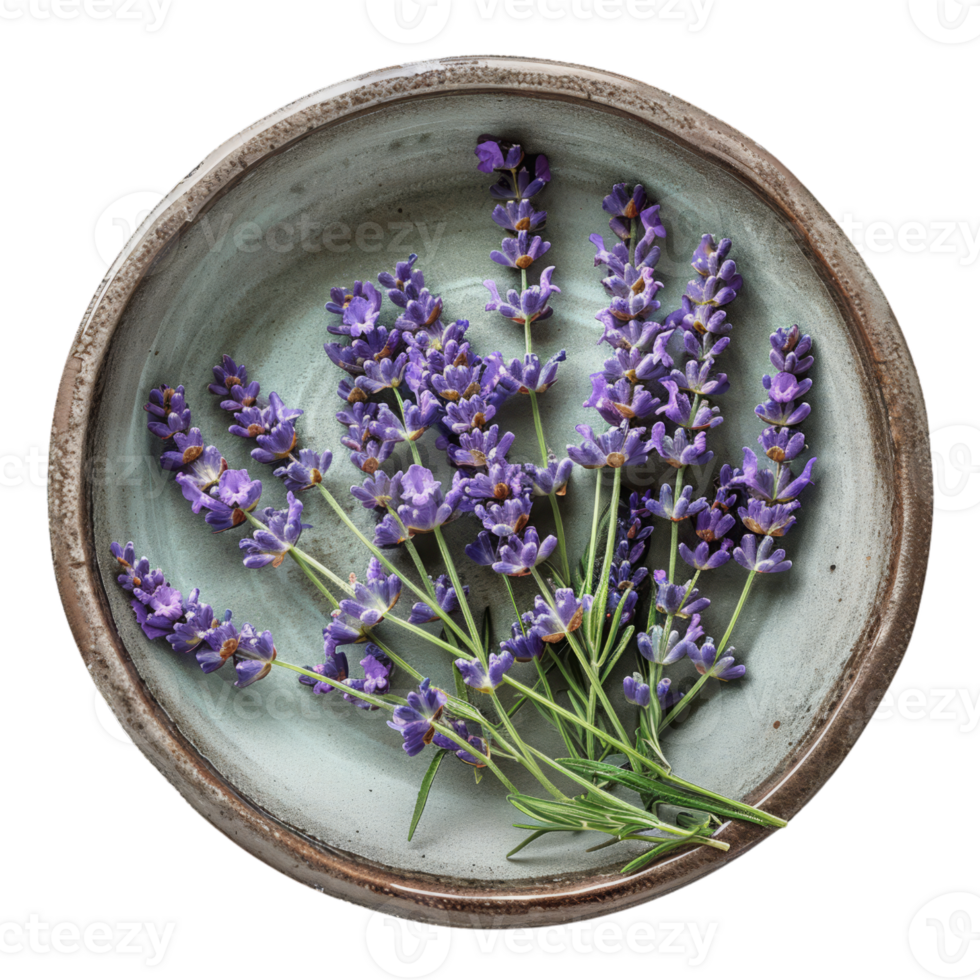 cerâmico tigela com fresco lavanda, topo Visão png